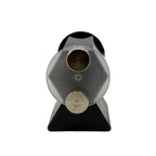 Cautator solar Lacerta image 3