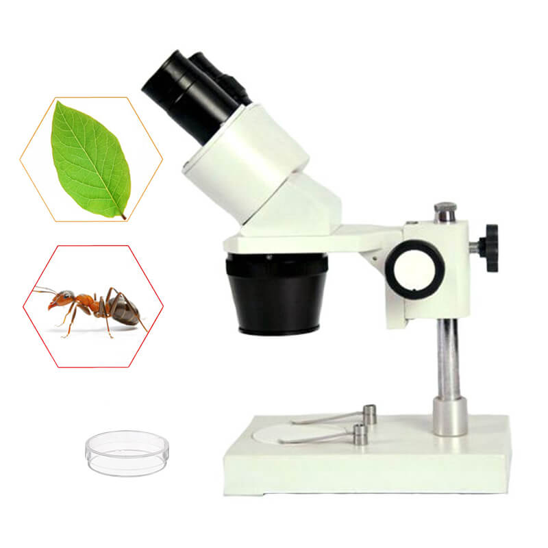 Microscop stereo STM-3A 10x (resigilat) image 3