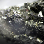 Adaptor foto DSLR pentru microscop stereo set 1 FF image 2