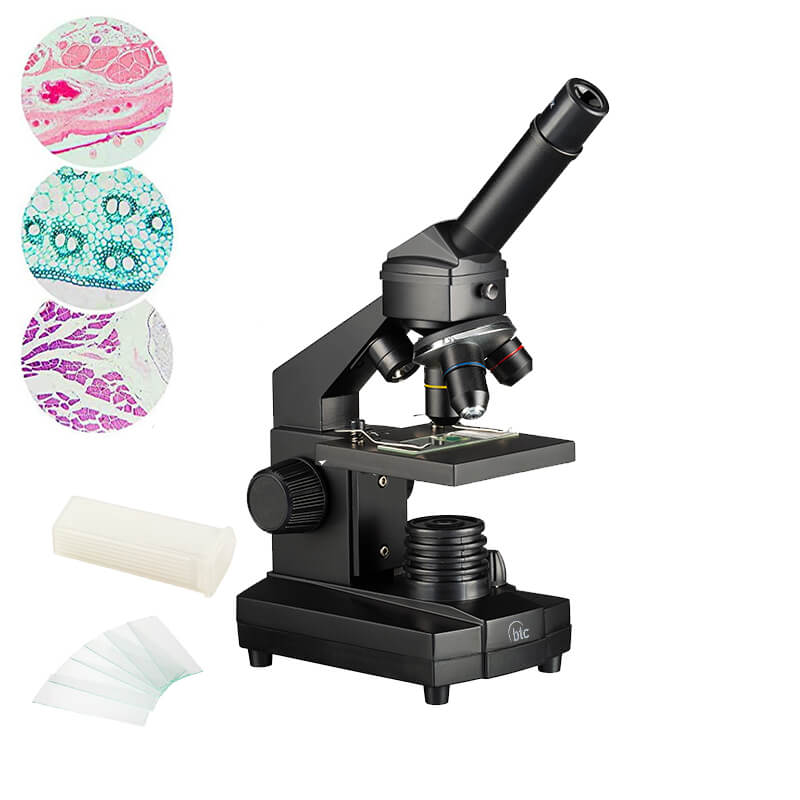 Microscop biologic pentru elevi Student 12 (40-640x) cu LED