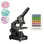 Microscop biologic pentru elevi Student 12 (40-640x) cu LED