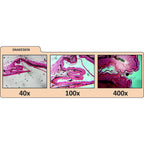 Microscop digital Celestron LCD II pentru profesori image 4