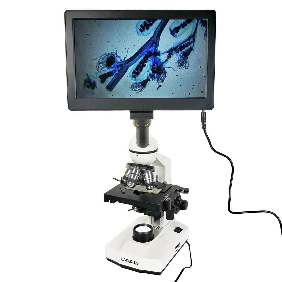 Microscop digital Lacerta  stand alone HDMI 2,1MP image 2