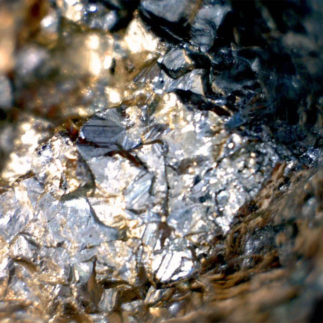 Mini microscop digital Celestron image 5