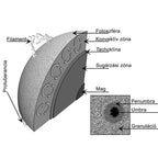 Csillagfény mellett (limba maghiară) image 2