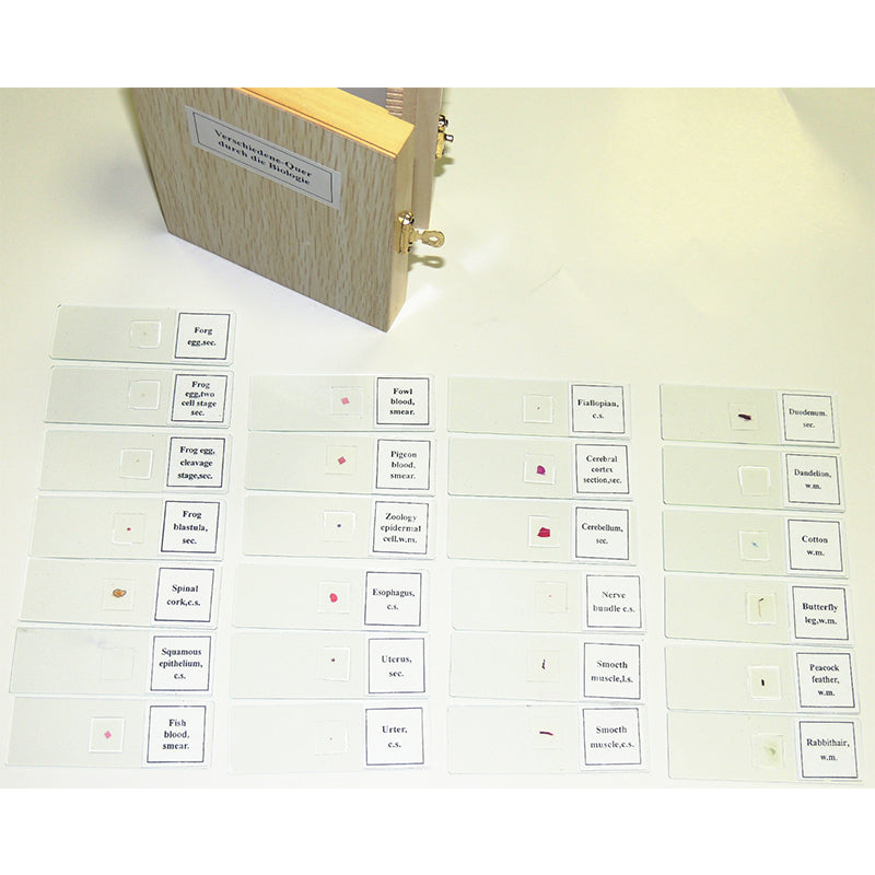 Set preparate mixt pentru microscop (25 buc) image 2