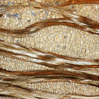 Microscop biologic trinocular BIM-105T (40x - 1000x) cu LED image 6