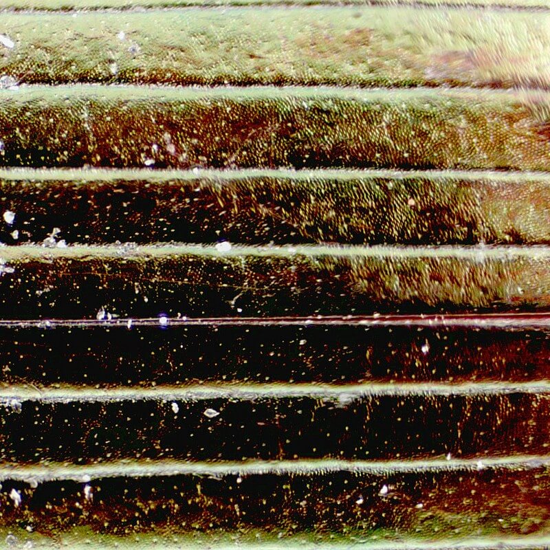 Set microscop biologic monocular BioLight 300 (40-400x) cu LED