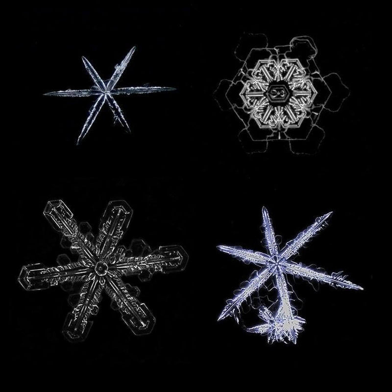 Microscop stereo Student 2S 20x LED